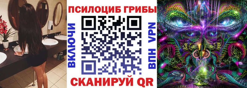 KRAKEN ссылка  дарнет шоп  Ува  Псилоцибиновые грибы Magic Shrooms 